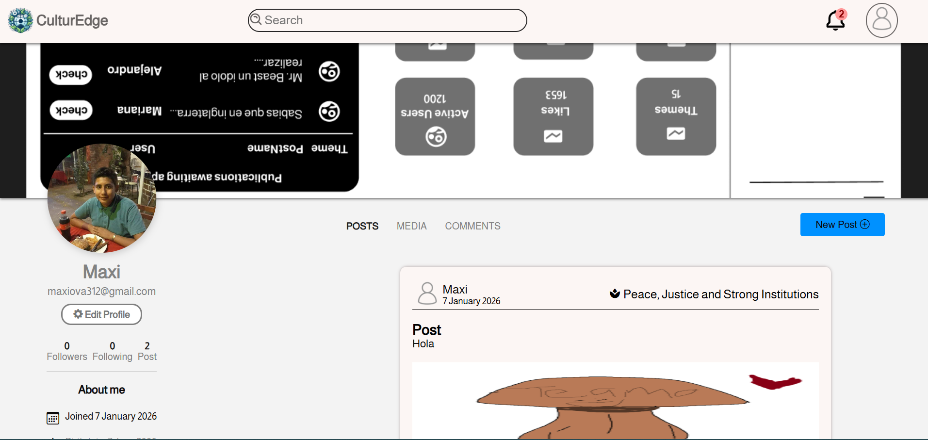 CultureEdge Profile View